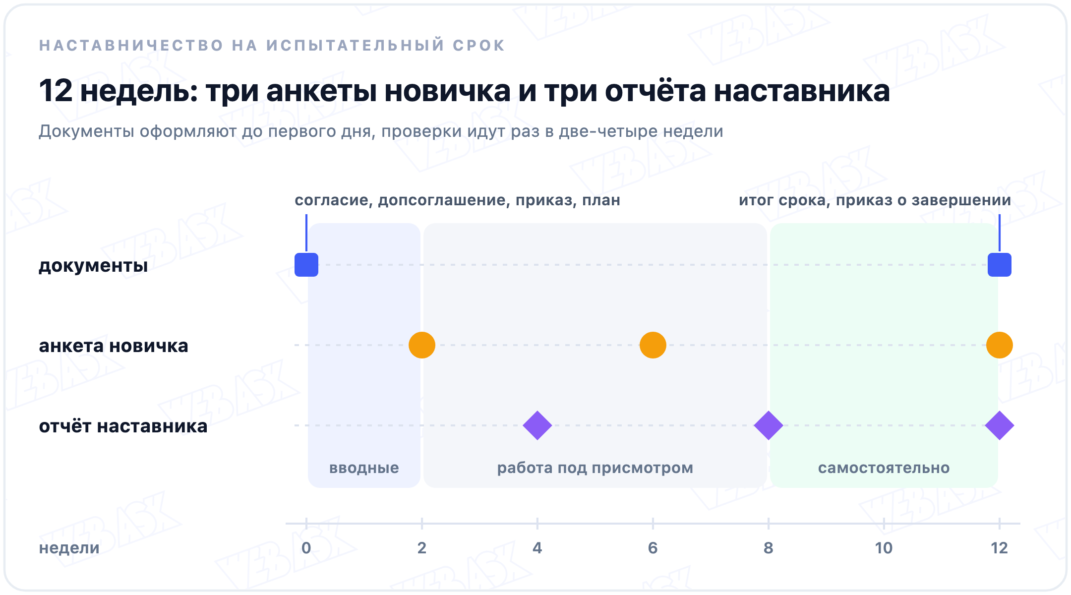 Двенадцать недель испытательного срока на одной оси: документы до первого дня и по итогам, анкета новичка на 2, 6 и 12 неделе, отчёт наставника на 4, 8 и 12 неделе, фазы вводные, работа под присмотром и самостоятельно