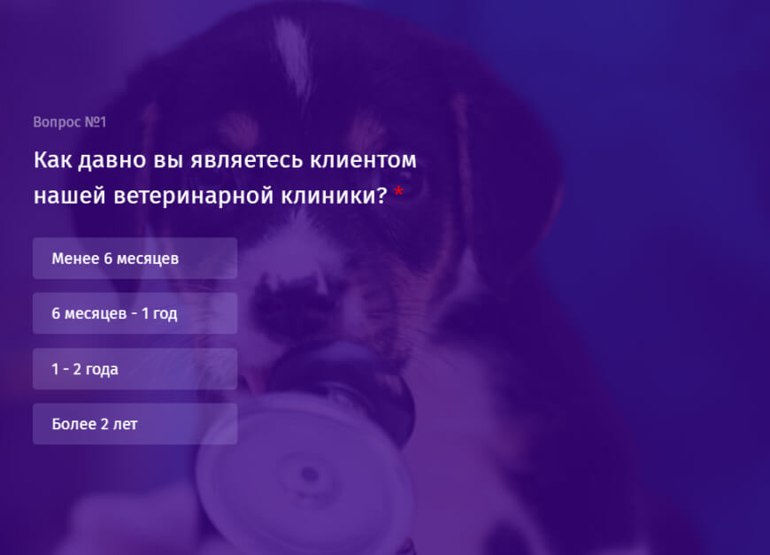 Оценка ветеринарной клиники