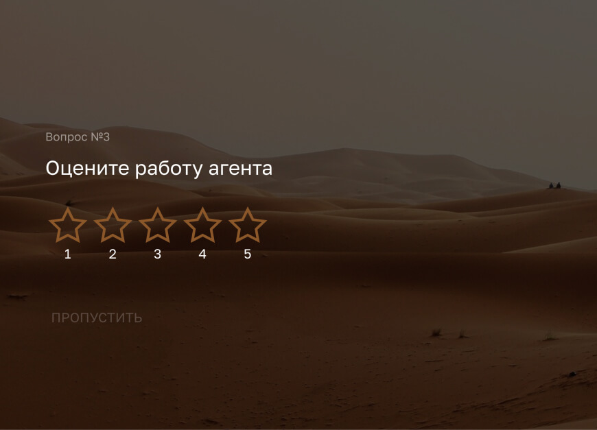 Оценка туристической фирмы